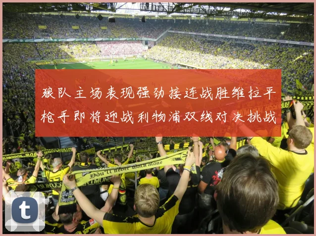 狼队主场表现强劲接连战胜维拉平枪手即将迎战利物浦双线对决挑战升级