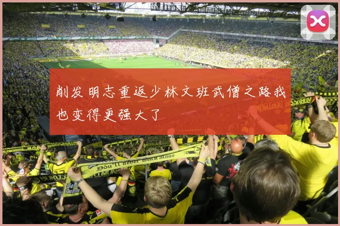 削发明志重返少林文班武僧之路我也变得更强大了
